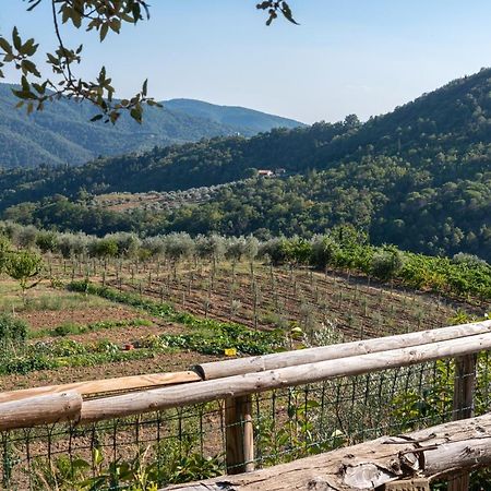 Poggio Al Mandorlo Villa Греве ин Кианти Екстериор снимка