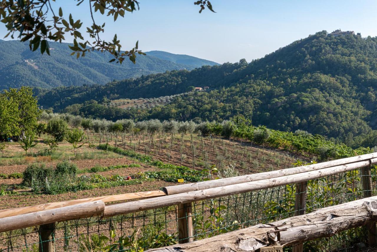 Poggio Al Mandorlo Villa Греве ин Кианти Екстериор снимка